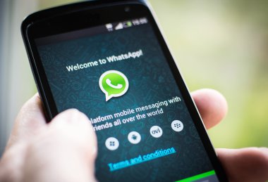 WhatsApp automation setup